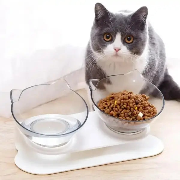 Alimentador Duplo para Gatos | Nutrição Confortável - Agapê